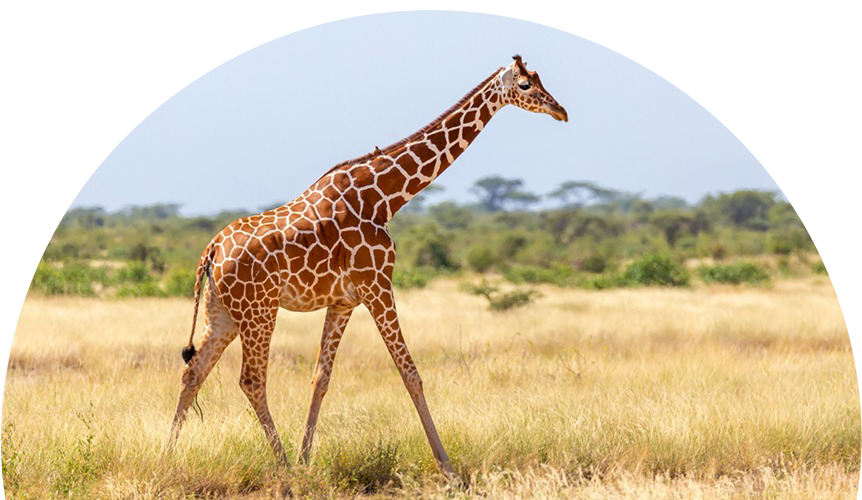 WhatsApp-Image-2025-06-12-at-17.49