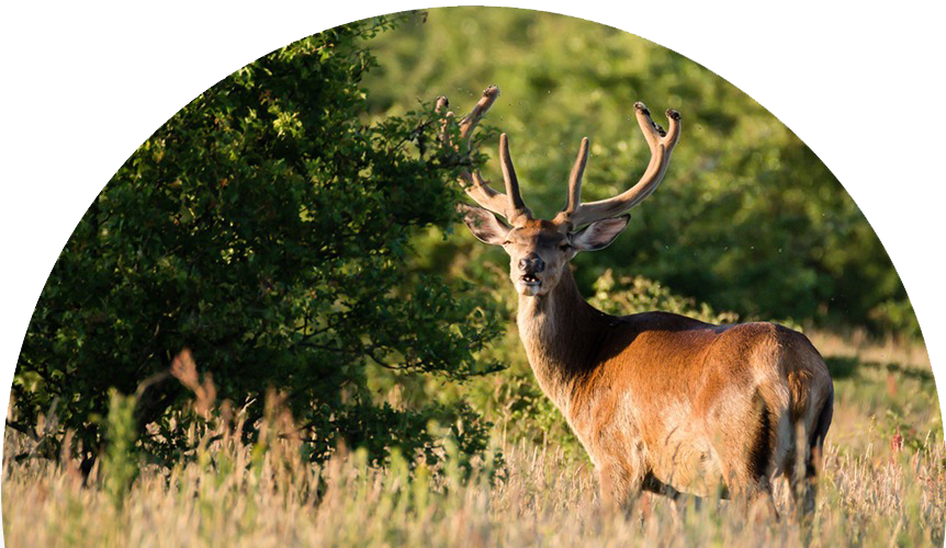 WhatsApp-Image-2025-06-12-at-17